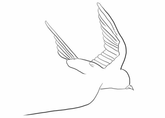 自由飞翔的小燕子简笔画教程