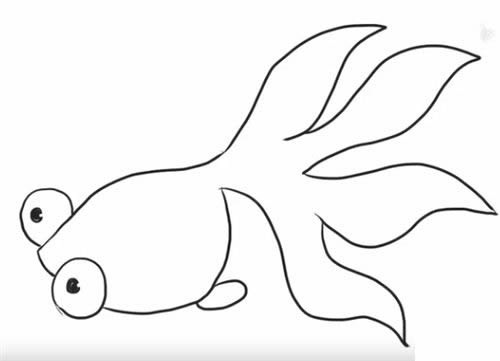 大尾巴金鱼简笔画教程