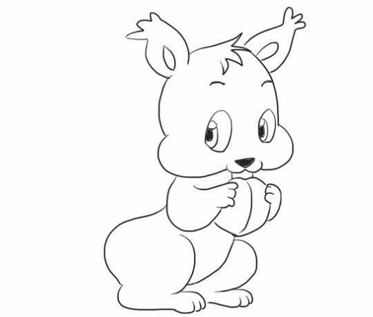 吃坚果的松鼠简笔画步骤