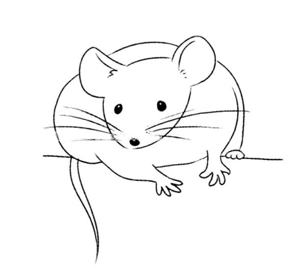 一组关于老鼠的简笔画大全
