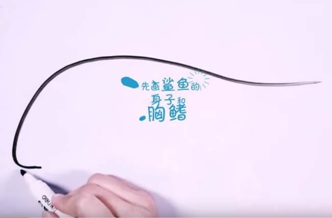 凶狠的鲨鱼简笔画教程