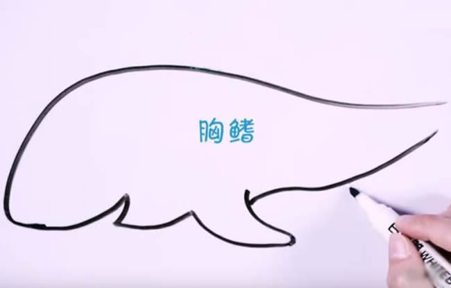 凶狠的鲨鱼简笔画教程