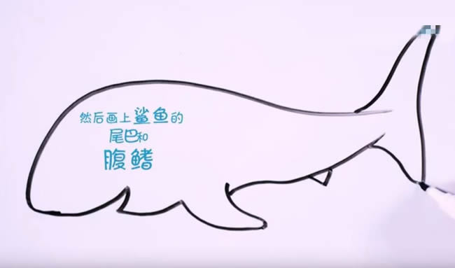 凶狠的鲨鱼简笔画教程