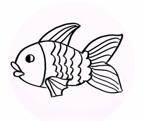 金鱼的简笔画步骤详解