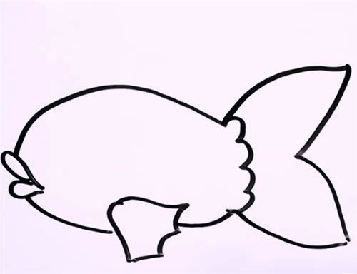 金鱼的简笔画步骤详解