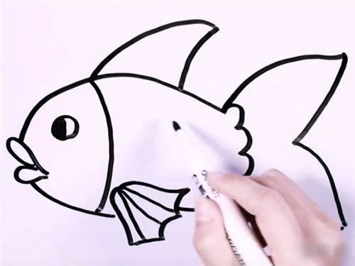 金鱼的简笔画步骤详解