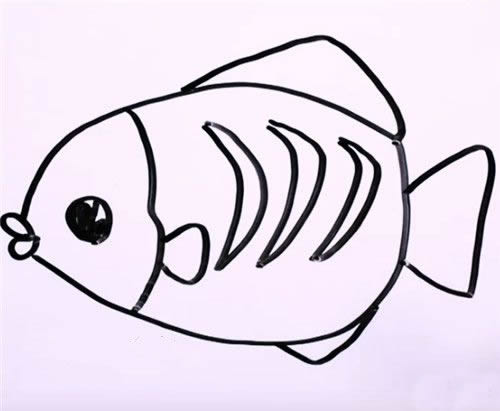 花斑鱼简笔画步骤教程