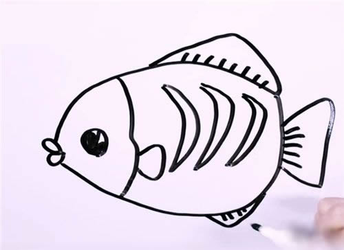 花斑鱼简笔画步骤教程