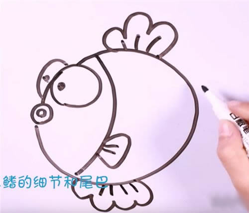 手把手教你画简单的金鱼