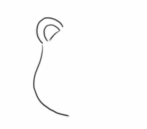 简单可爱的小狮子怎么画