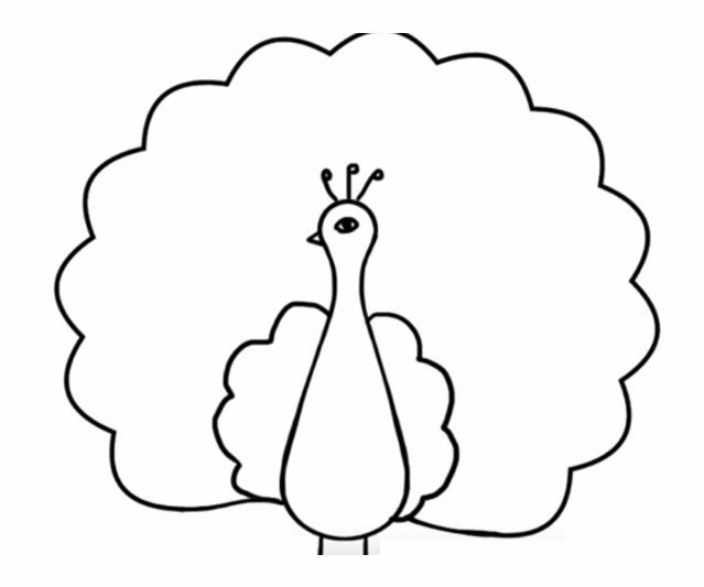 带颜色的孔雀开屏简笔画教程