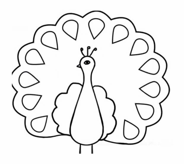 带颜色的孔雀开屏简笔画教程