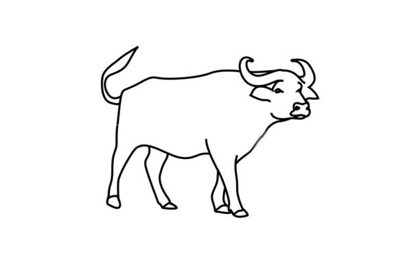 水牛简笔画步骤教程