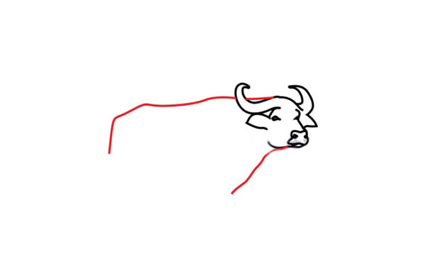 水牛简笔画步骤教程