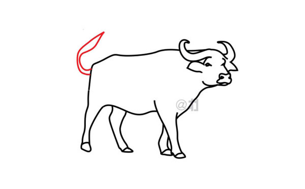 水牛简笔画步骤教程