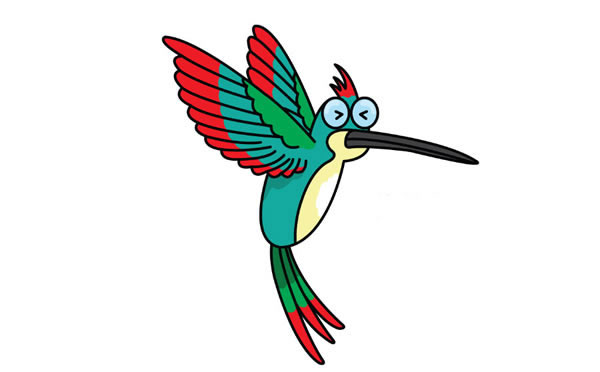 彩色漂亮的蜂鸟简笔画步骤