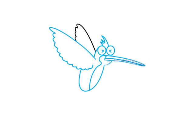 彩色漂亮的蜂鸟简笔画步骤