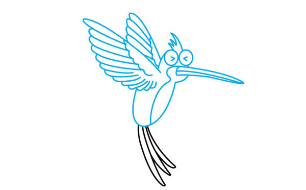 彩色漂亮的蜂鸟简笔画步骤