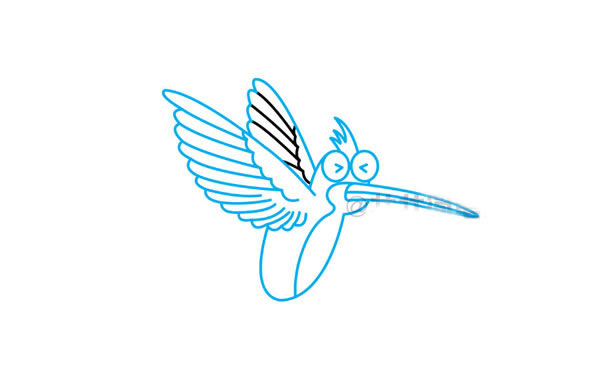 彩色漂亮的蜂鸟简笔画步骤