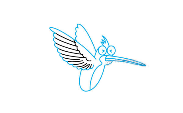 彩色漂亮的蜂鸟简笔画步骤