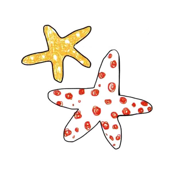 两只涂色的海星简笔画