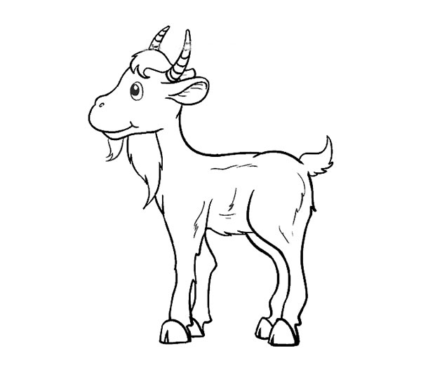 带颜色的山羊简笔画