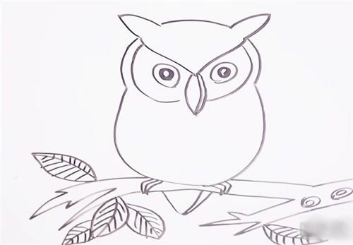 站在树枝上的猫头鹰简笔画