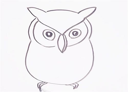站在树枝上的猫头鹰简笔画