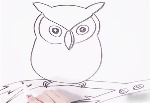 站在树枝上的猫头鹰简笔画