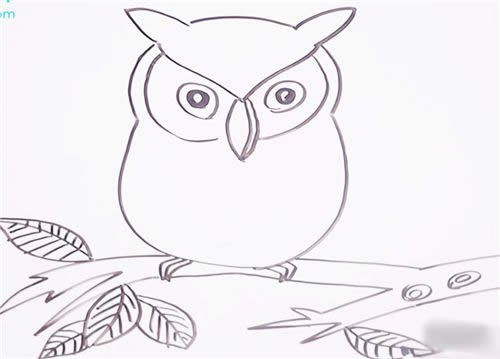 站在树枝上的猫头鹰简笔画