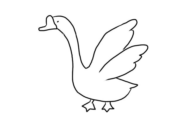 简单的大白鹅怎么画