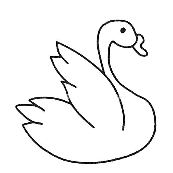 4款关于天鹅的简笔画