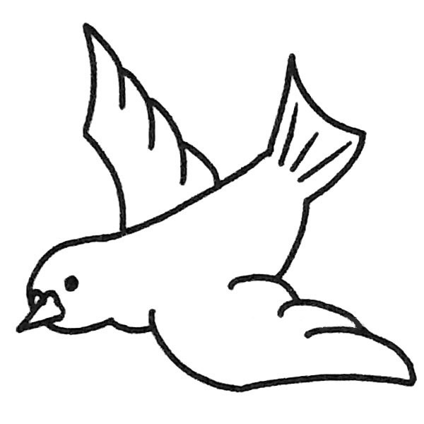 6款关于鸽子的简笔画大全