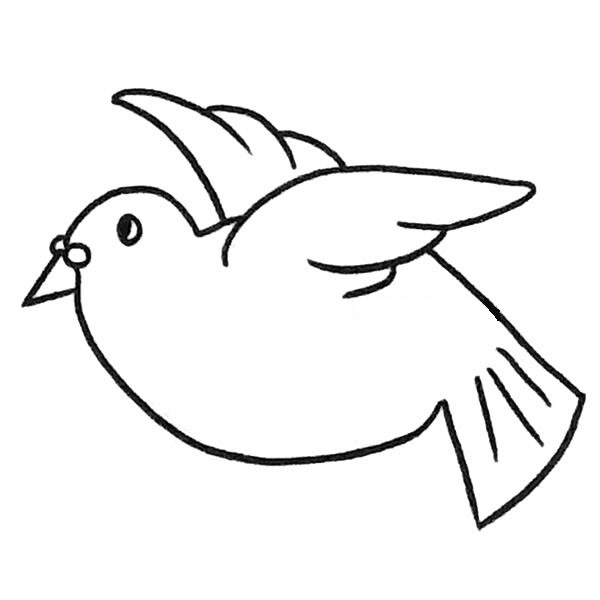 6款关于鸽子的简笔画大全