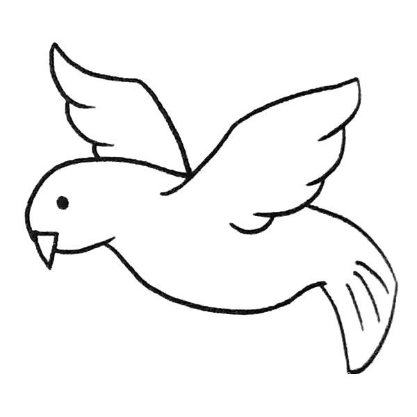 6款关于鸽子的简笔画大全