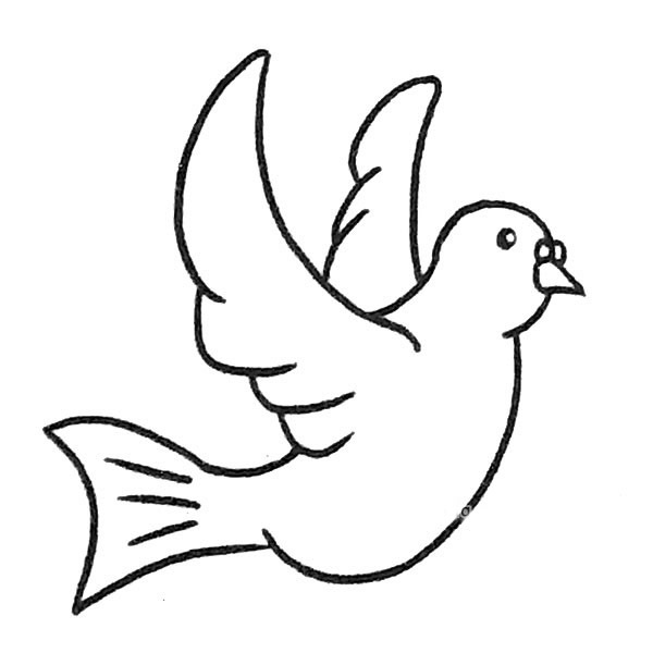 6款关于鸽子的简笔画大全