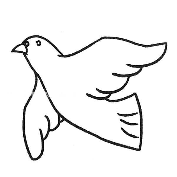 6款关于鸽子的简笔画大全