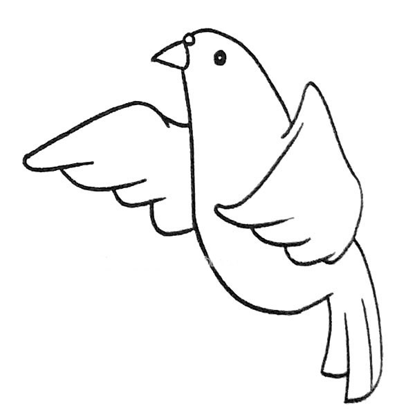 6款关于鸽子的简笔画大全
