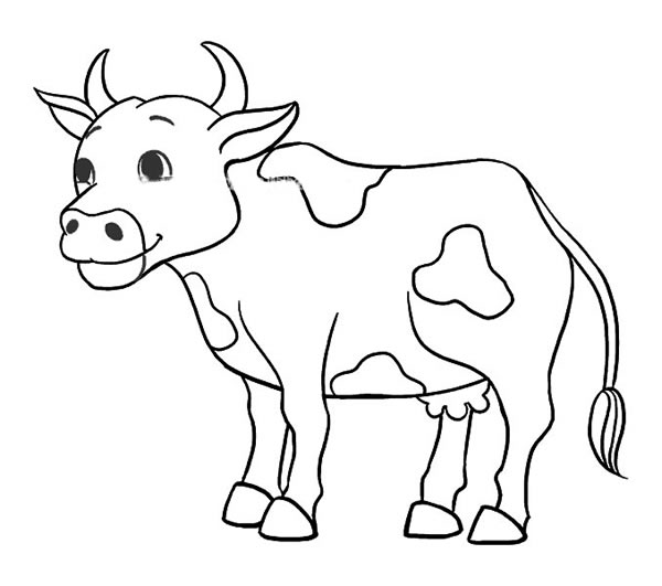 涂色的奶牛简笔画