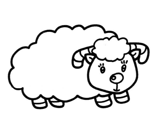 可爱的小绵羊简笔画