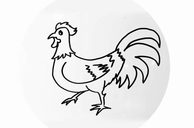 一步步教你画一只公鸡 一步步教你画一只公鸡