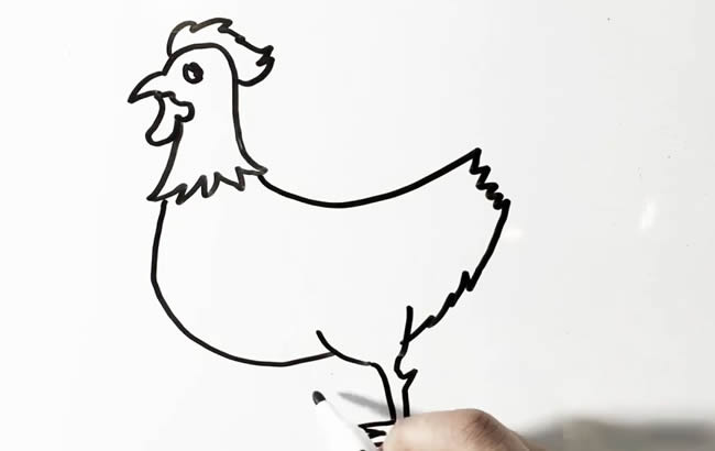 一步步教你画一只公鸡 一步步教你画一只公鸡