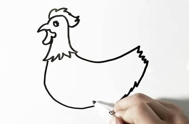 一步步教你画一只公鸡 一步步教你画一只公鸡