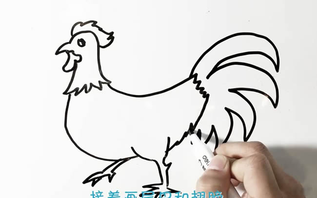 一步步教你画一只公鸡 一步步教你画一只公鸡
