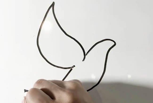 简单的鸽子简笔画步骤教程