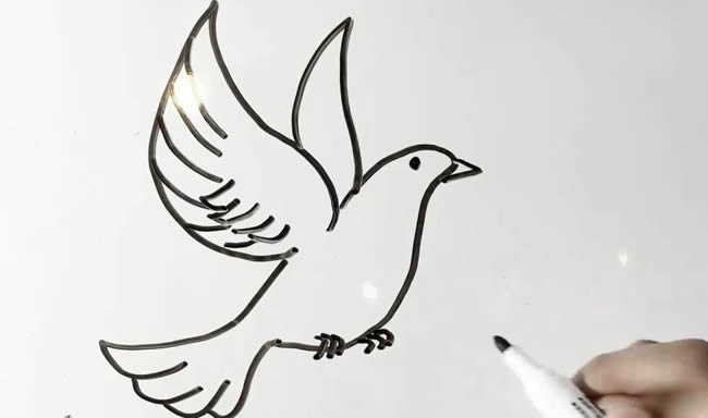 简单的鸽子简笔画步骤教程