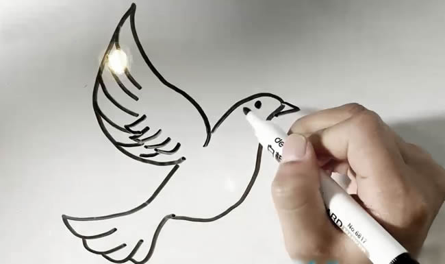 简单的鸽子简笔画步骤教程