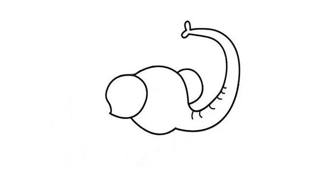 开心的大象简笔画步骤教程