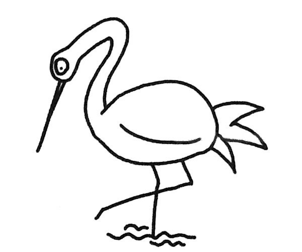 站在水里的丹顶鹤简笔画