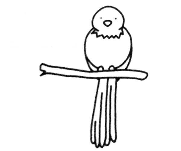 6款关于喜鹊的简笔画大全